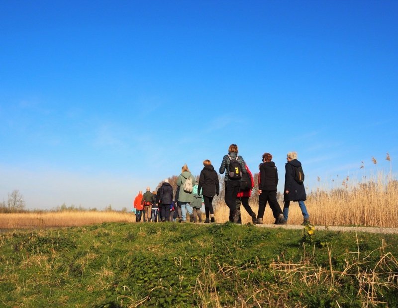 Within walking distance