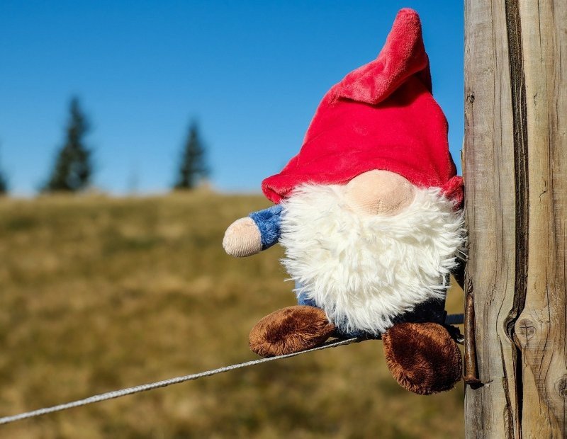 The Great Gnome Forest