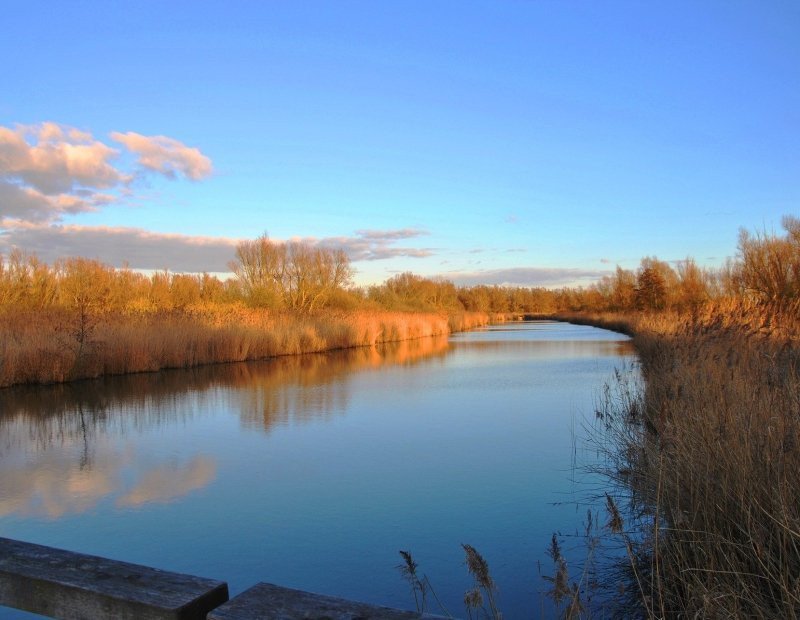 National Park Nieuwland